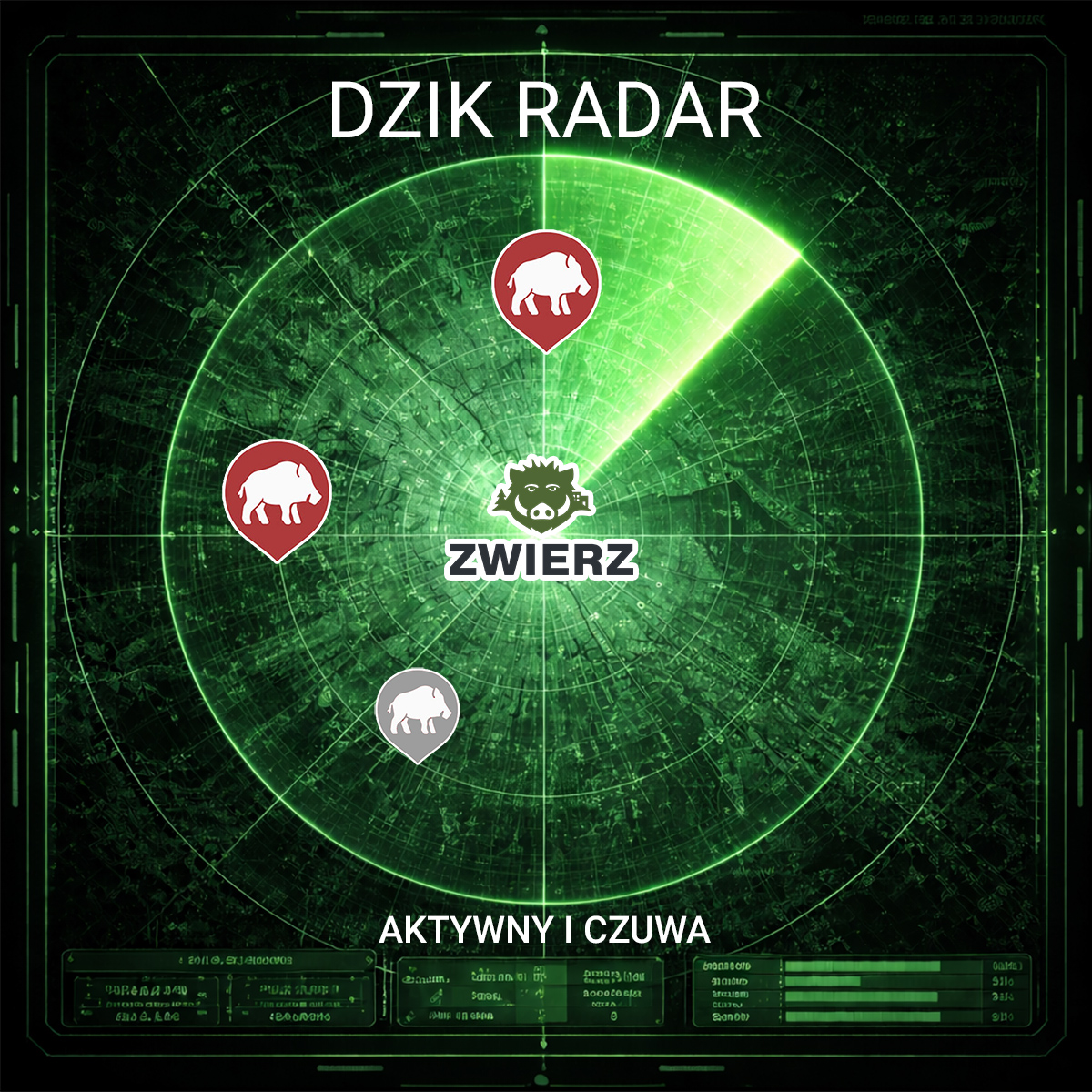 DZIK Radar już działa!